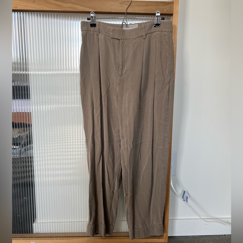 Everlane Put Together Pleat Pant - Clay